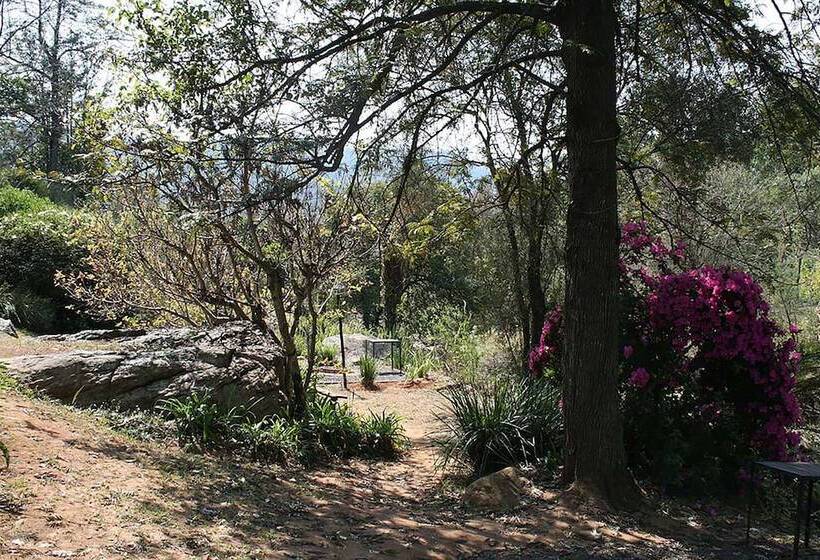 ベッドアンドブレックファースト Sabi Star Chalets