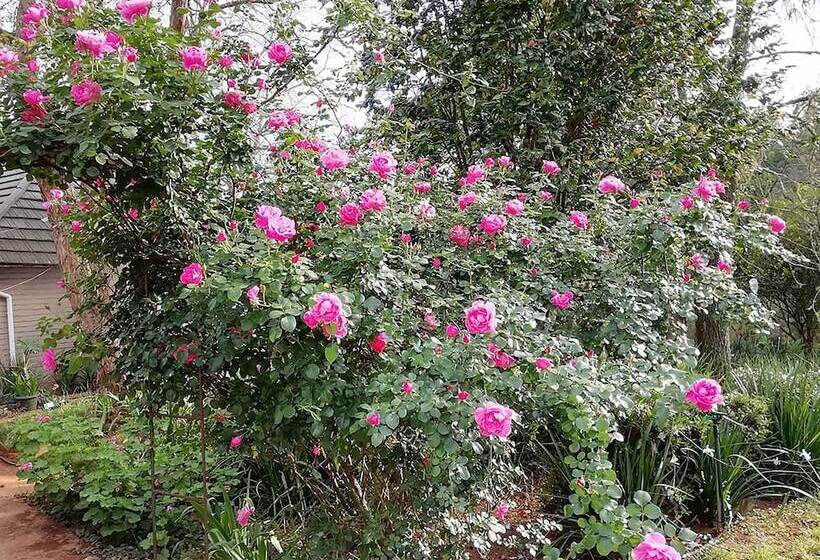 ベッドアンドブレックファースト Sabi Star Chalets