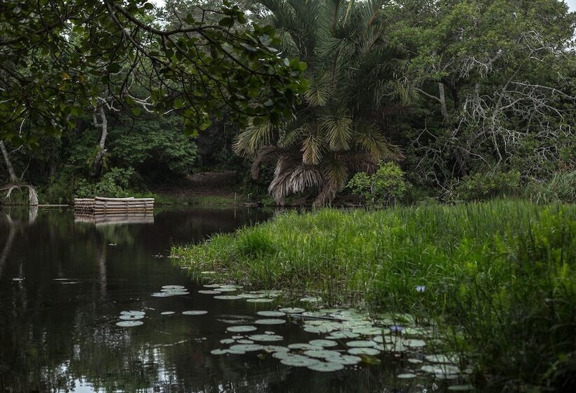 بنسيون Kosi Forest Lodge