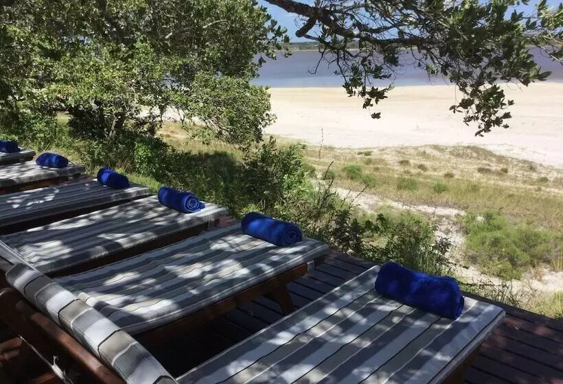 ペンション Kosi Forest Lodge