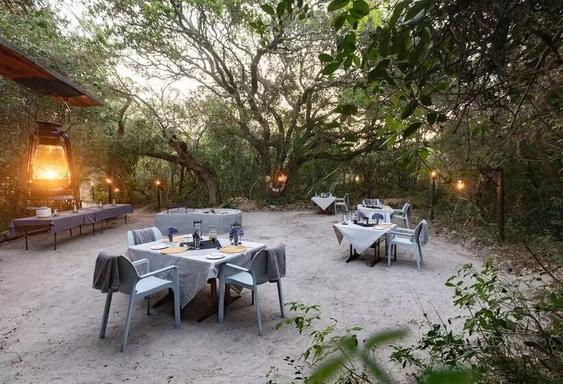 ペンション Kosi Forest Lodge