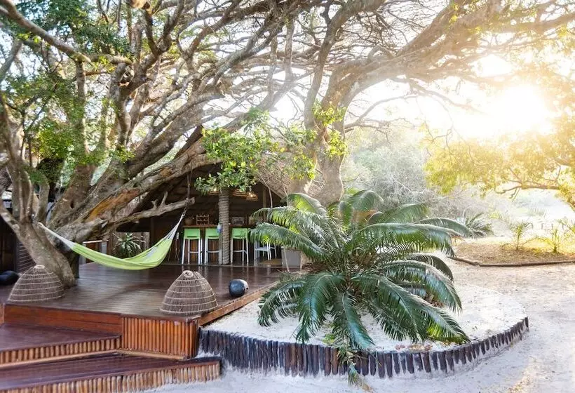 ペンション Kosi Forest Lodge
