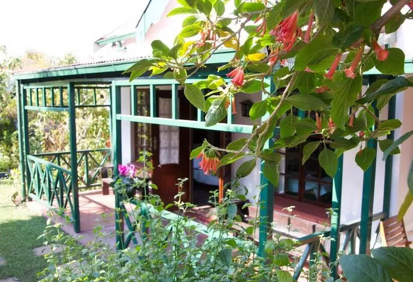 Petal Faire Cottage