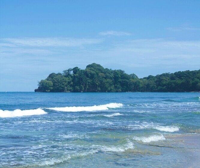 Walaba Eco Lodge   Hostel