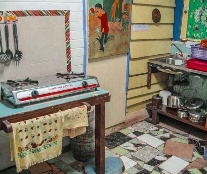 Walaba Eco Lodge   Hostel