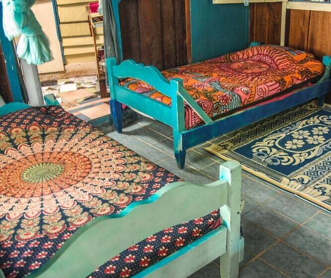 Walaba Eco Lodge   Hostel