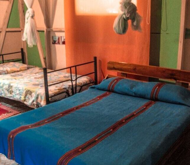 Walaba Eco Lodge   Hostel