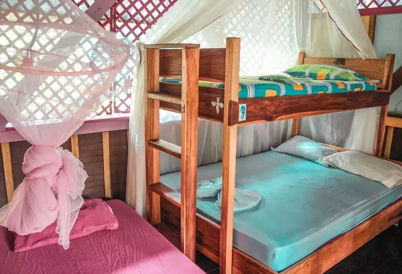 Walaba Eco Lodge Hostel
