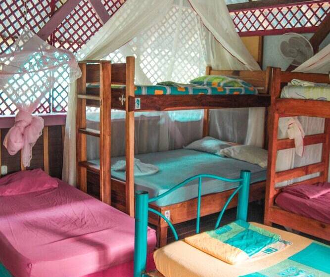 Walaba Eco Lodge   Hostel