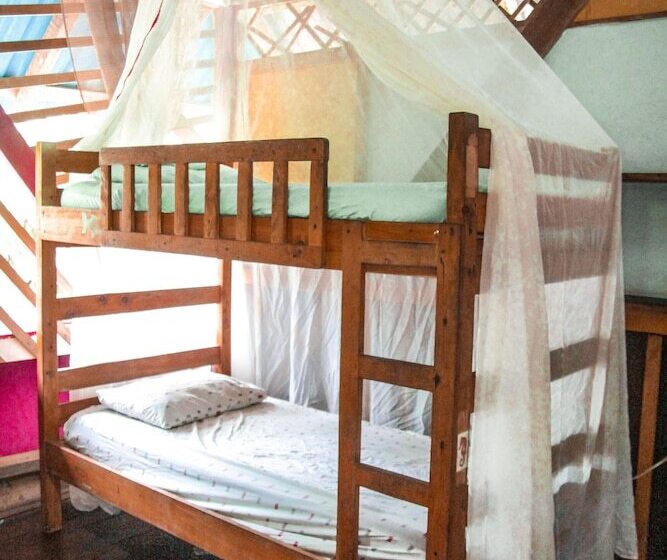 Walaba Eco Lodge   Hostel