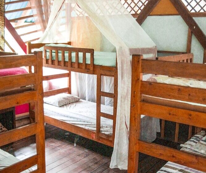 Walaba Eco Lodge   Hostel