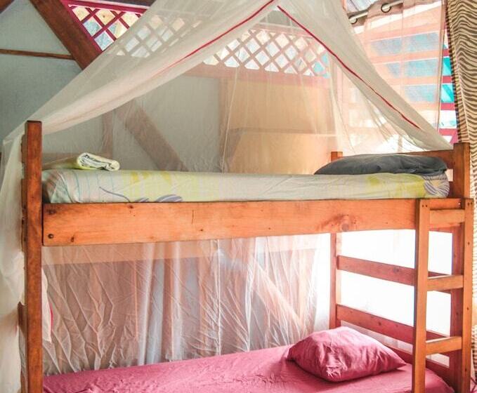 Walaba Eco Lodge   Hostel