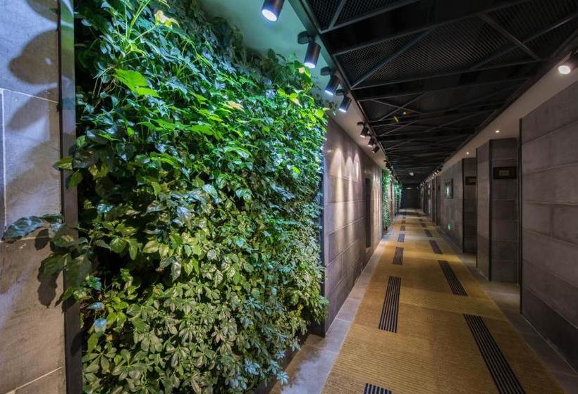 Отель Showse Wellness