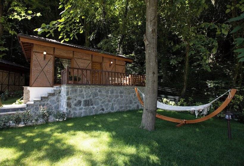 ホテル Casa Giallo Managed By Dedeman