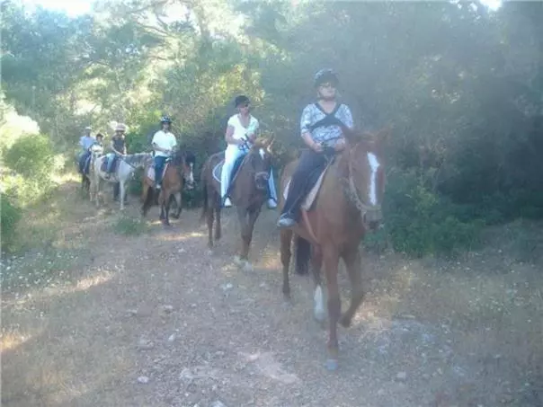 هتل Apollon