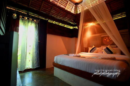 Отель Pai Hillside Resort