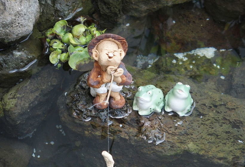 Hotel Black Rose House