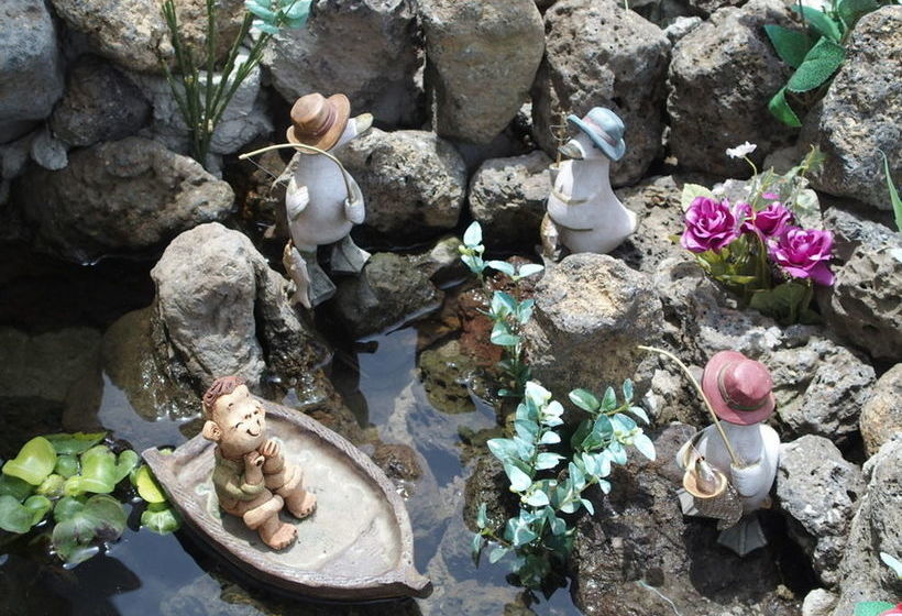 Hotel Black Rose House