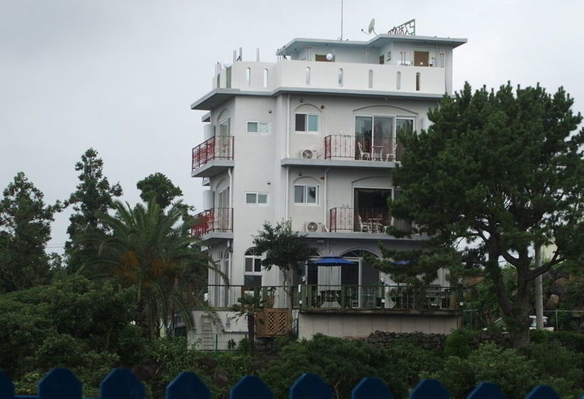 Hotel Black Rose House