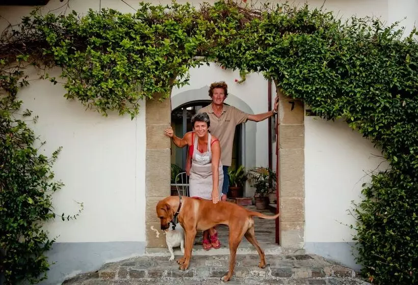 Pension Chianti Yoga   The Tuscan Collection