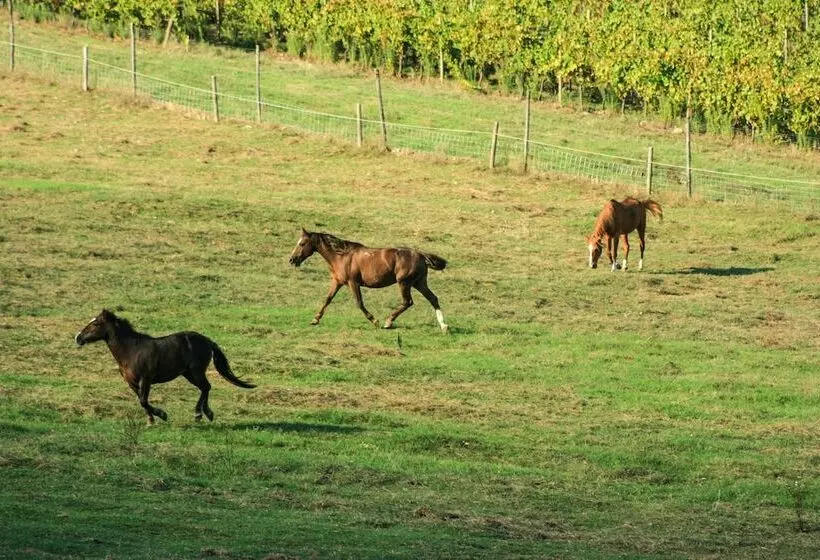 Pension Chianti Yoga   The Tuscan Collection