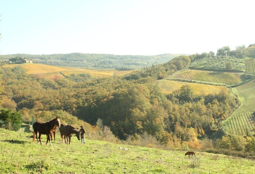 Panzió Chianti Yoga The Tuscan Collection
