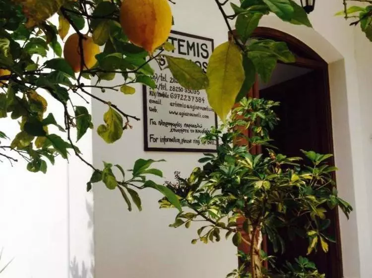 Artemis Studios