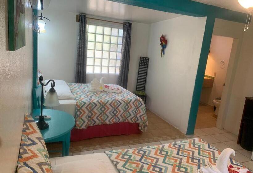 فندق All Seasons Belize