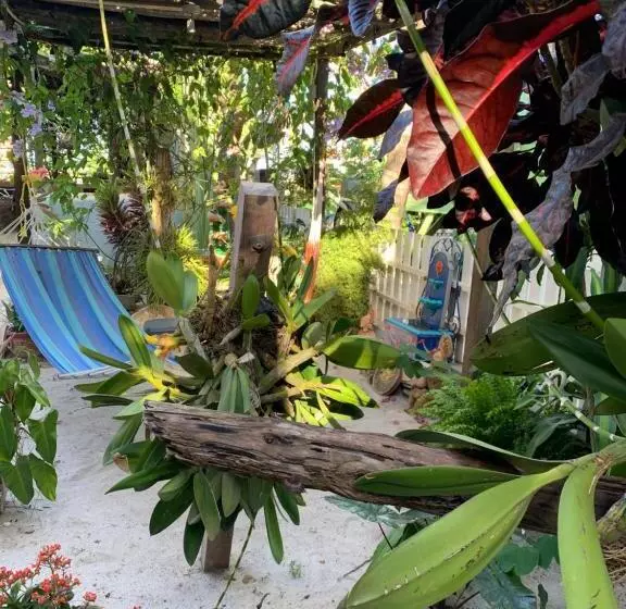 ホテル All Seasons Belize