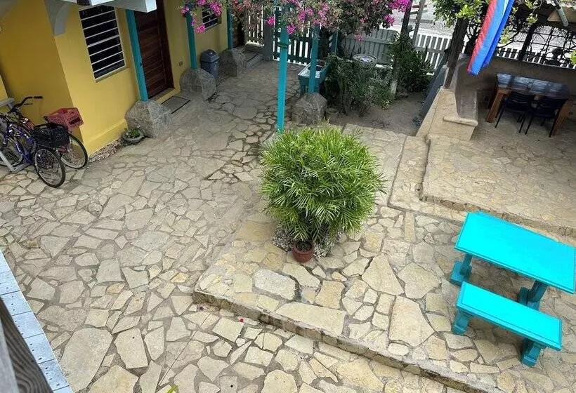 ホテル All Seasons Belize