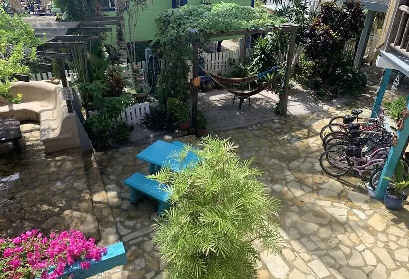 ホテル All Seasons Belize