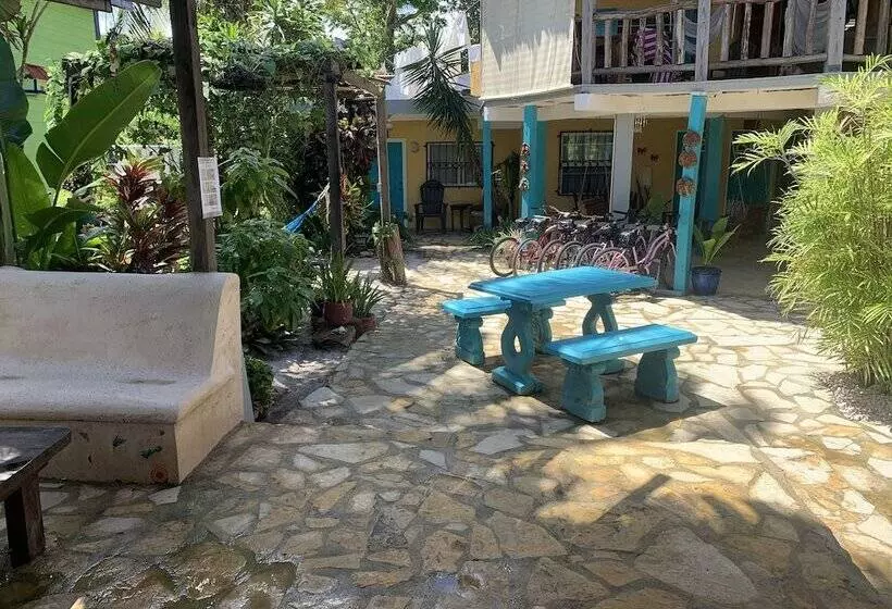 ホテル All Seasons Belize
