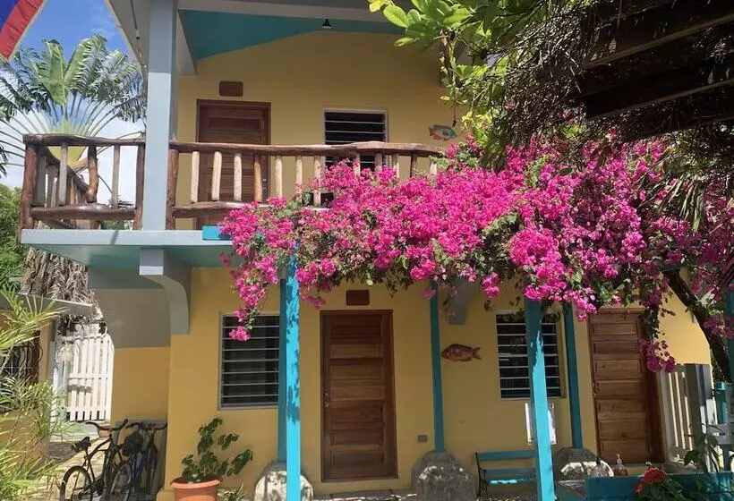 ホテル All Seasons Belize