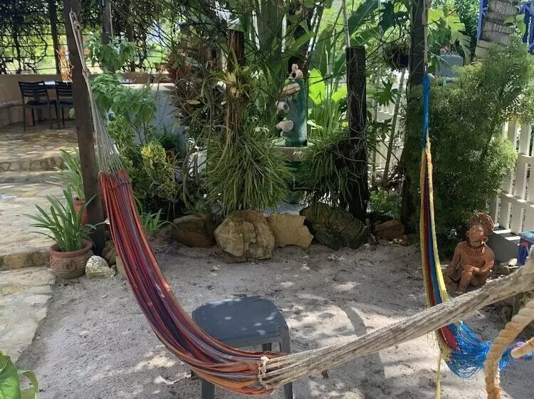 ホテル All Seasons Belize