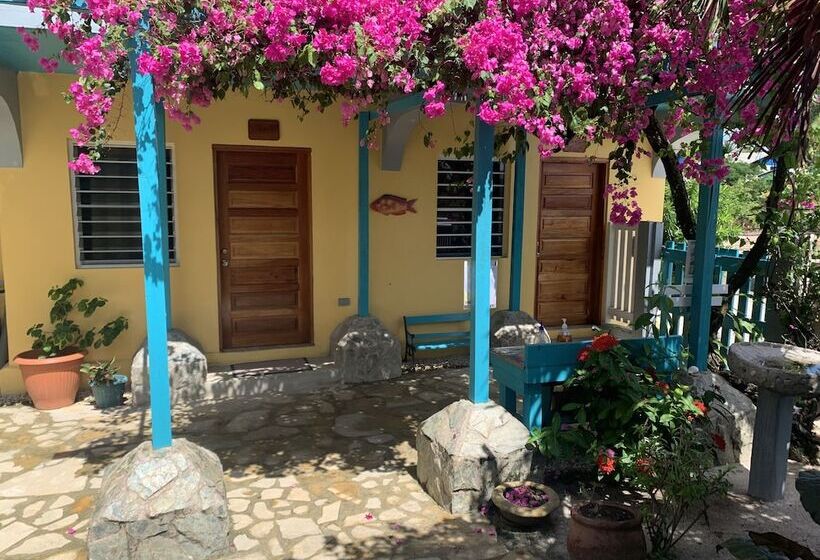 فندق All Seasons Belize