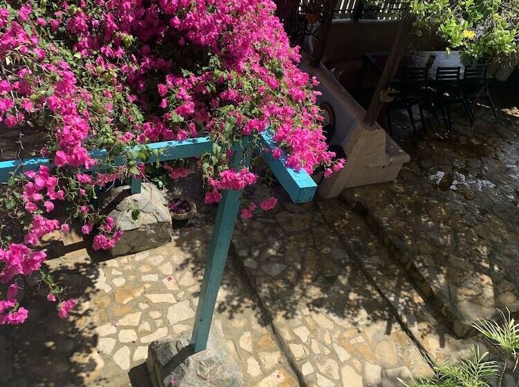 فندق All Seasons Belize