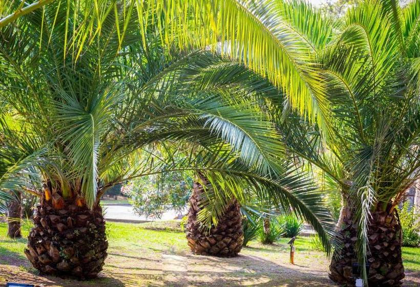 בית מלון כפרי Korall Adlerkurort