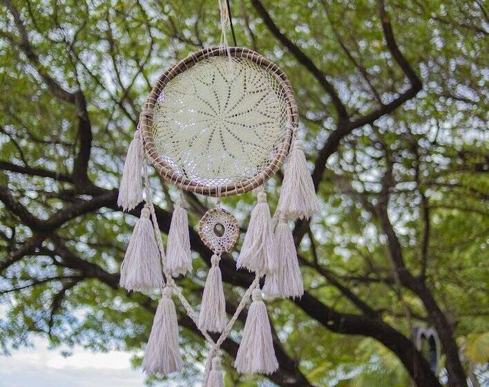 فندق Ocho Artisan Bungalows