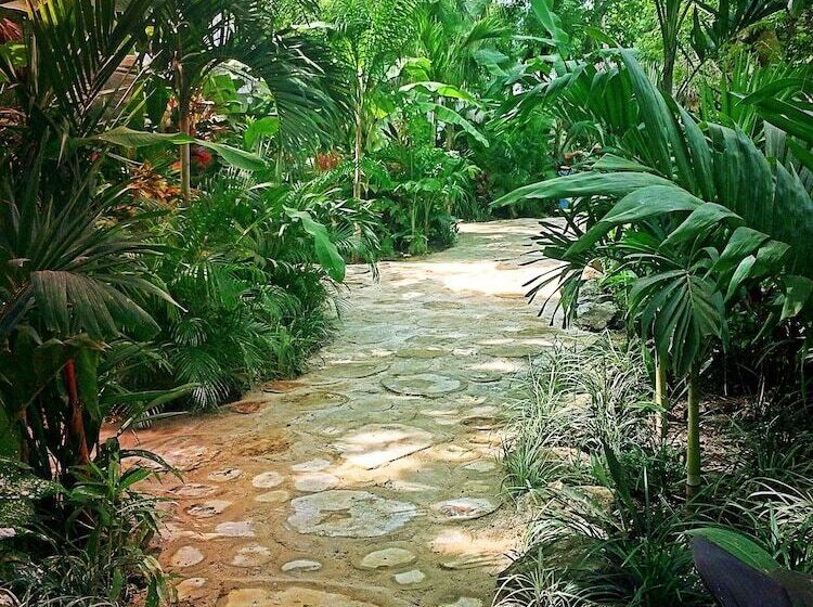 فندق Ocho Artisan Bungalows