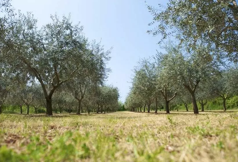 Hotelli Rivalmare Boutique