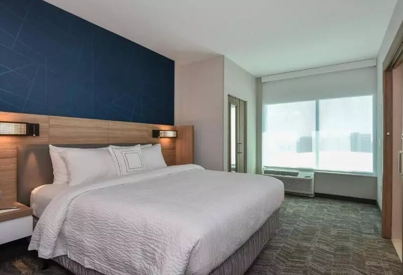 Hotelli Springhill Suites By Marriott Charlotte City Center