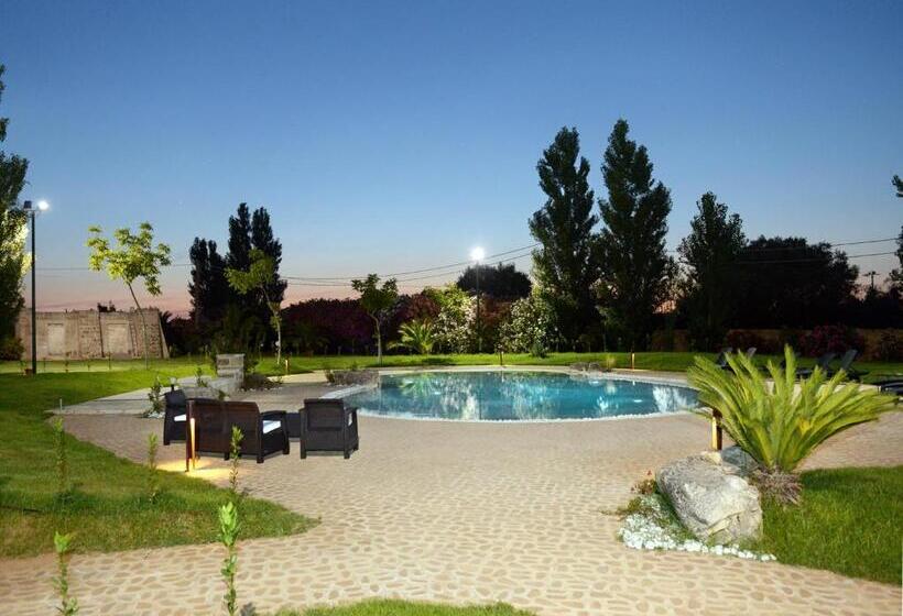 住宿加早餐  Tenuta Monaci La Murra