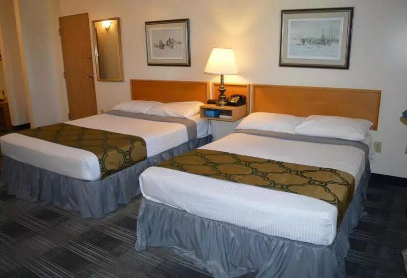 ホテル Agassiz Park Lodge
