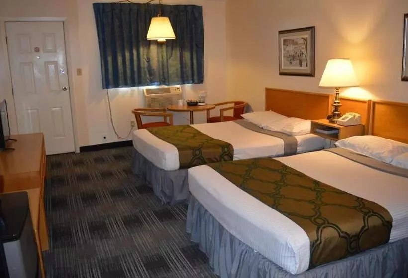 ホテル Agassiz Park Lodge