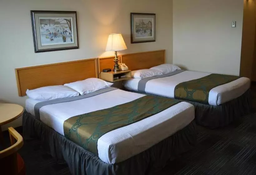 ホテル Agassiz Park Lodge