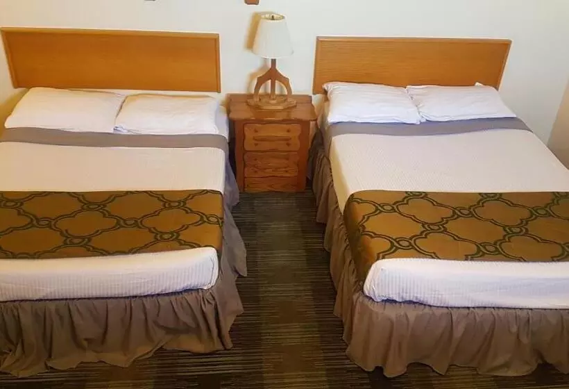 ホテル Agassiz Park Lodge