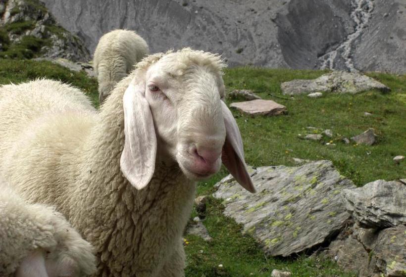 Отель Garni Des Alpes