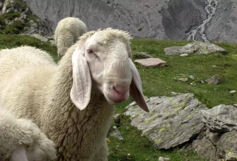 ホテル Garni Des Alpes