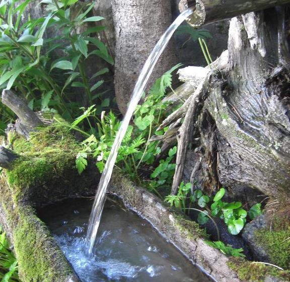 Отель Garni Des Alpes