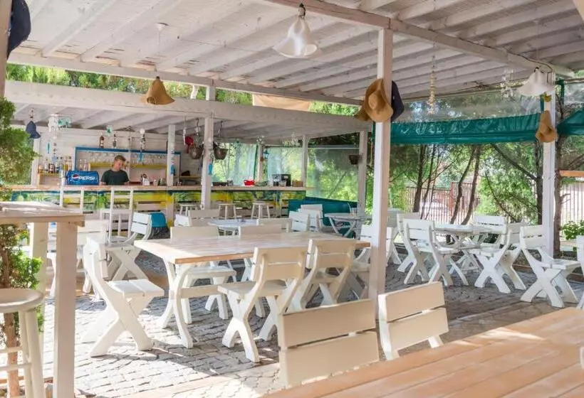 ホテル Lozenets Resort